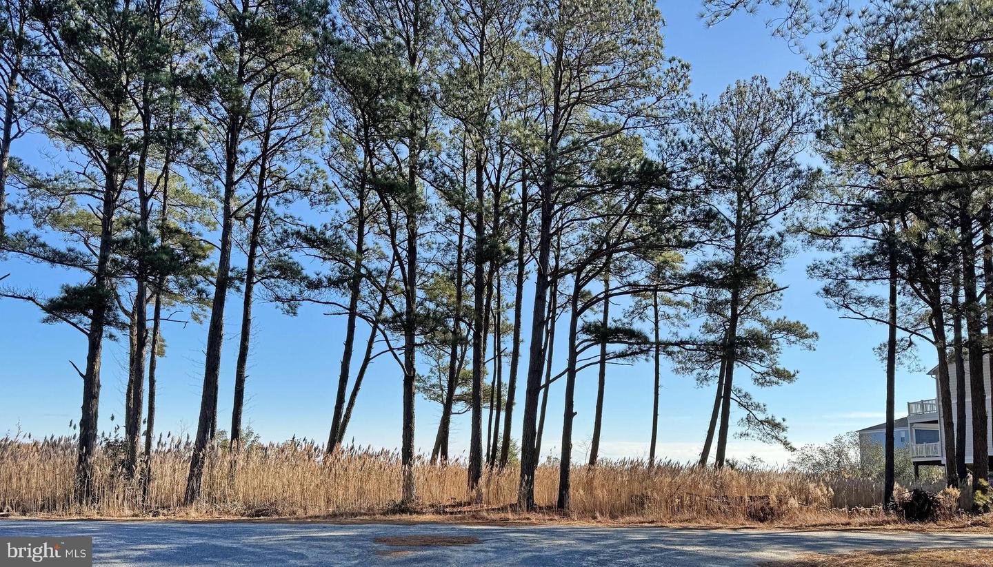 Lot 718 Castaway Dr Property Photo 1