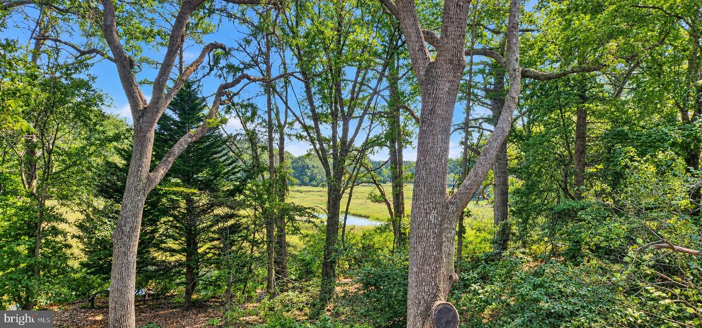 26355 Mount Nebo Rd Property Photo 19