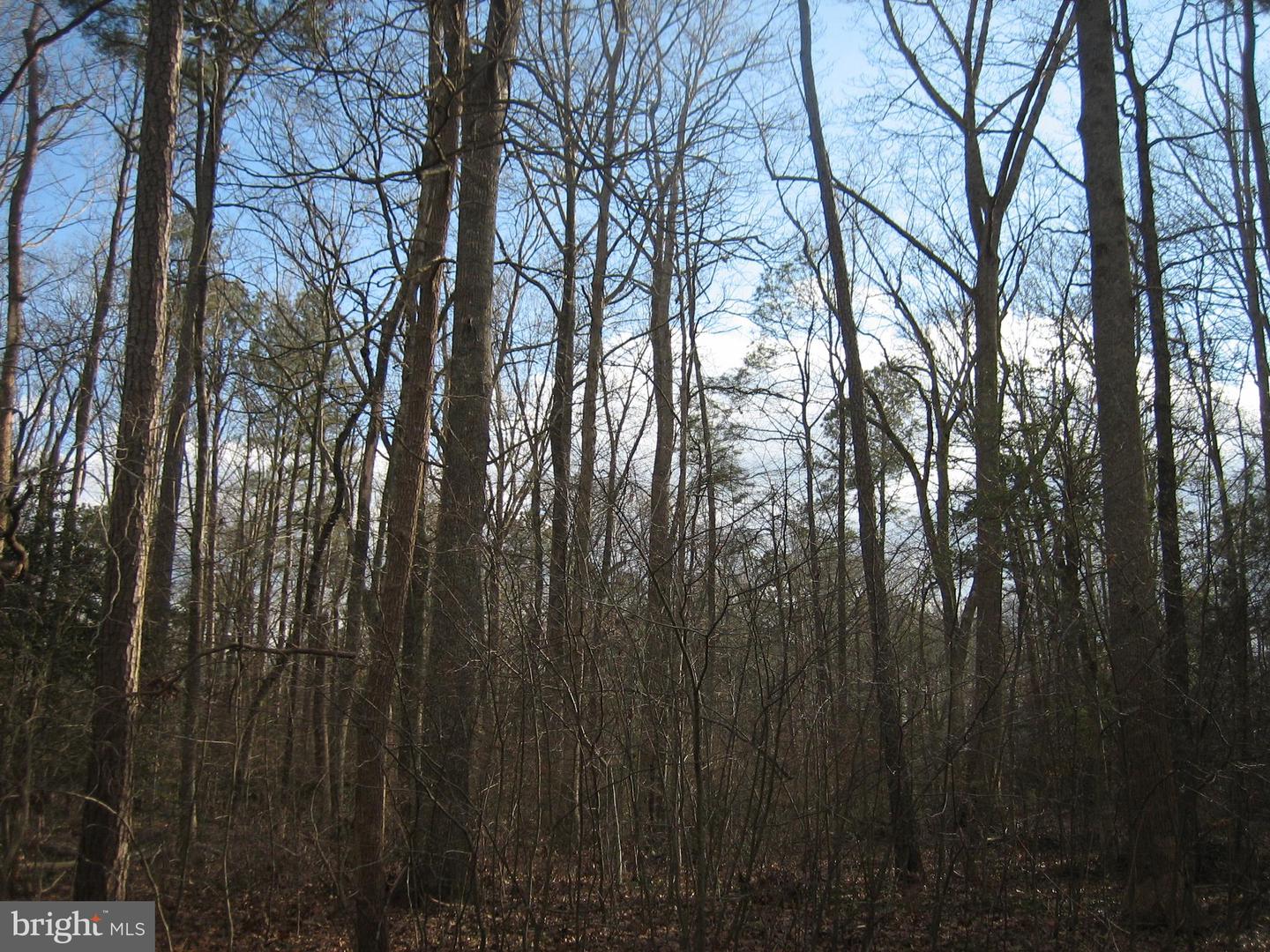 1816 Mutiny Dr Property Photo 1