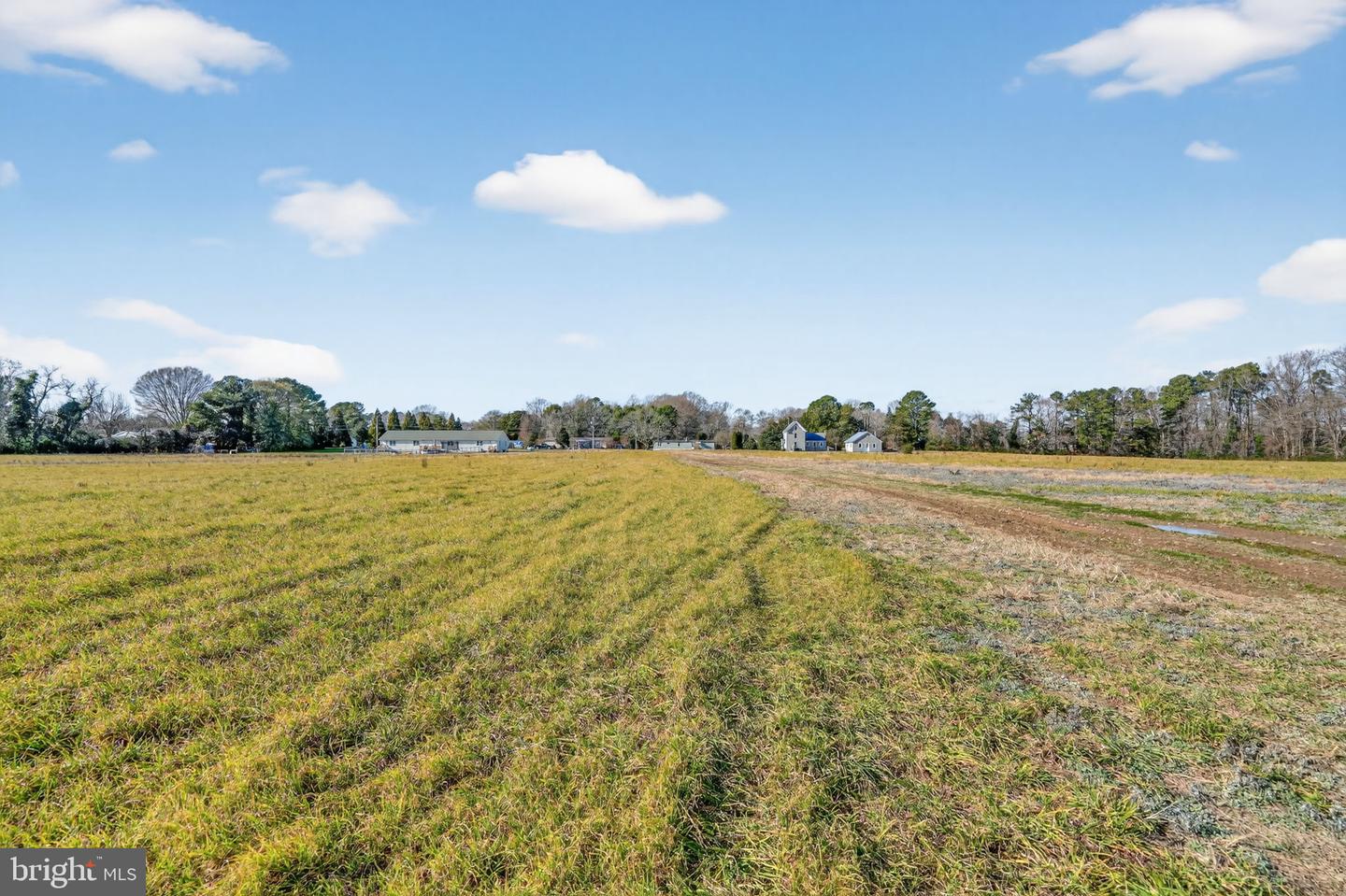 8005 Hickman Farm Rd Property Photo 48