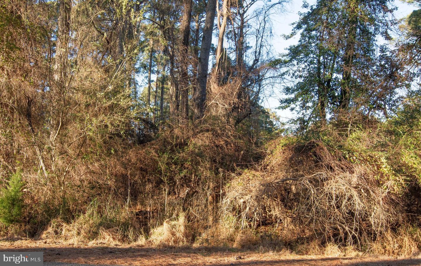 Lot 1098 Amidship Dr Property Photo 1