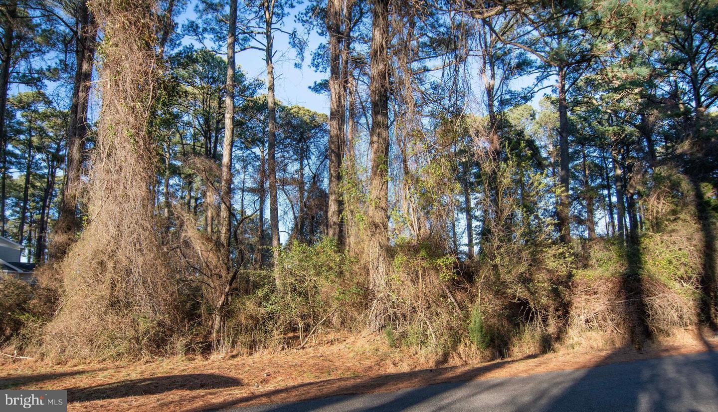 Lot 1098 Amidship Dr Property Photo 2