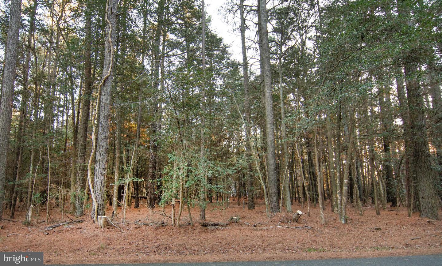 Lot 827 Castaway Dr Property Photo 1