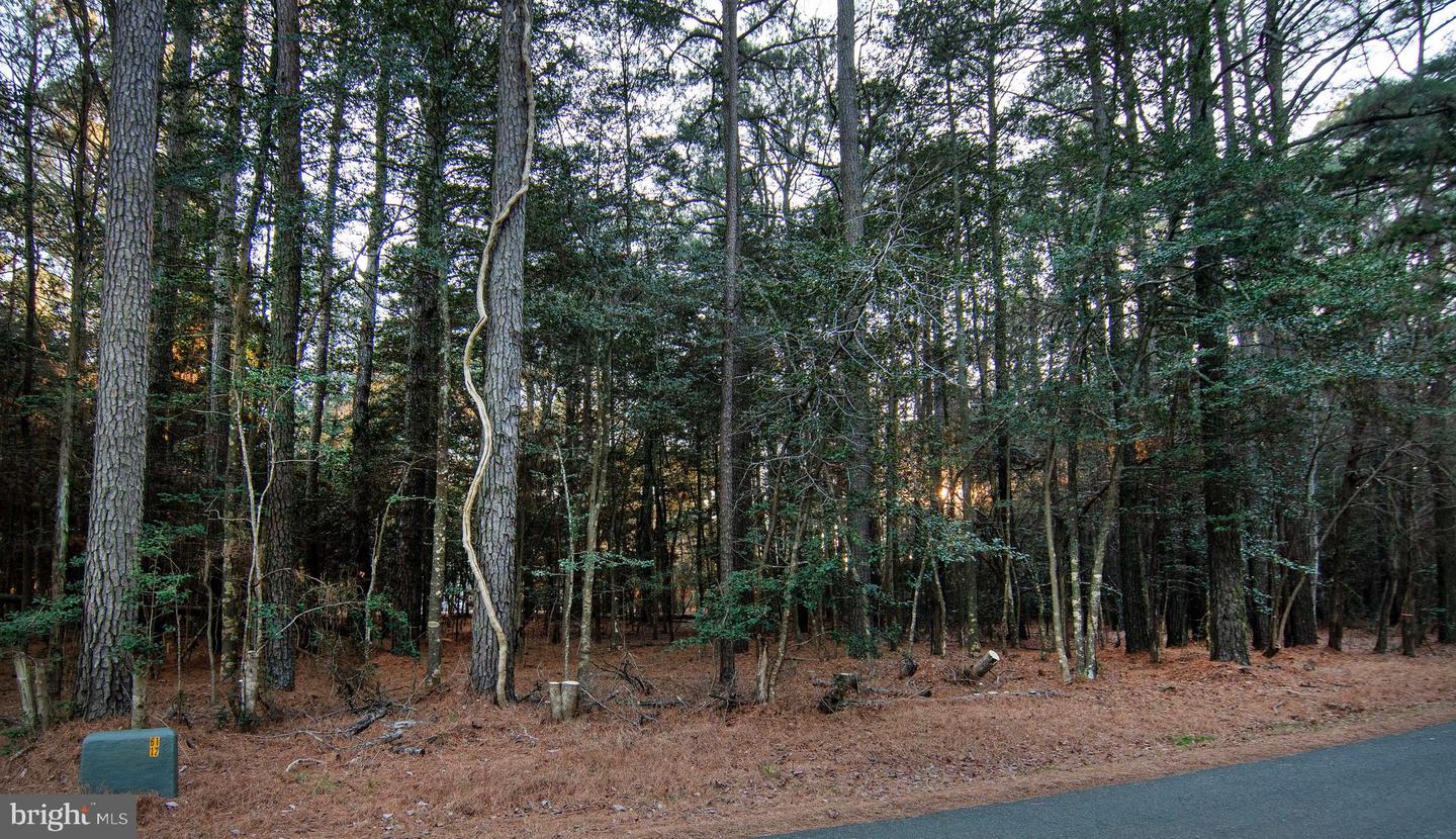 Lot 827 Castaway Dr Property Photo 2