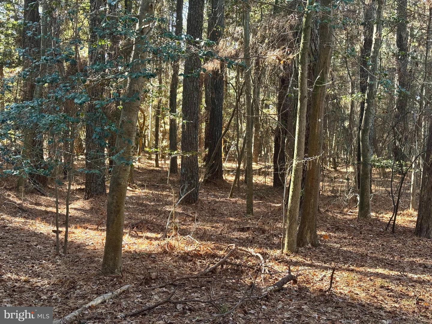 Lot 831 Castaway Dr Property Photo 1