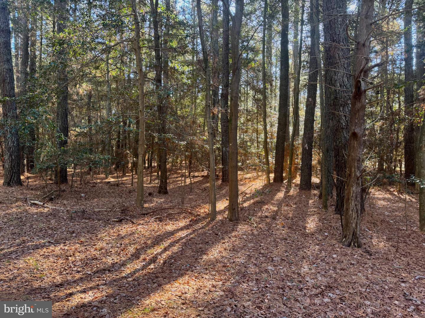 Lot 831 Castaway Dr Property Photo 2