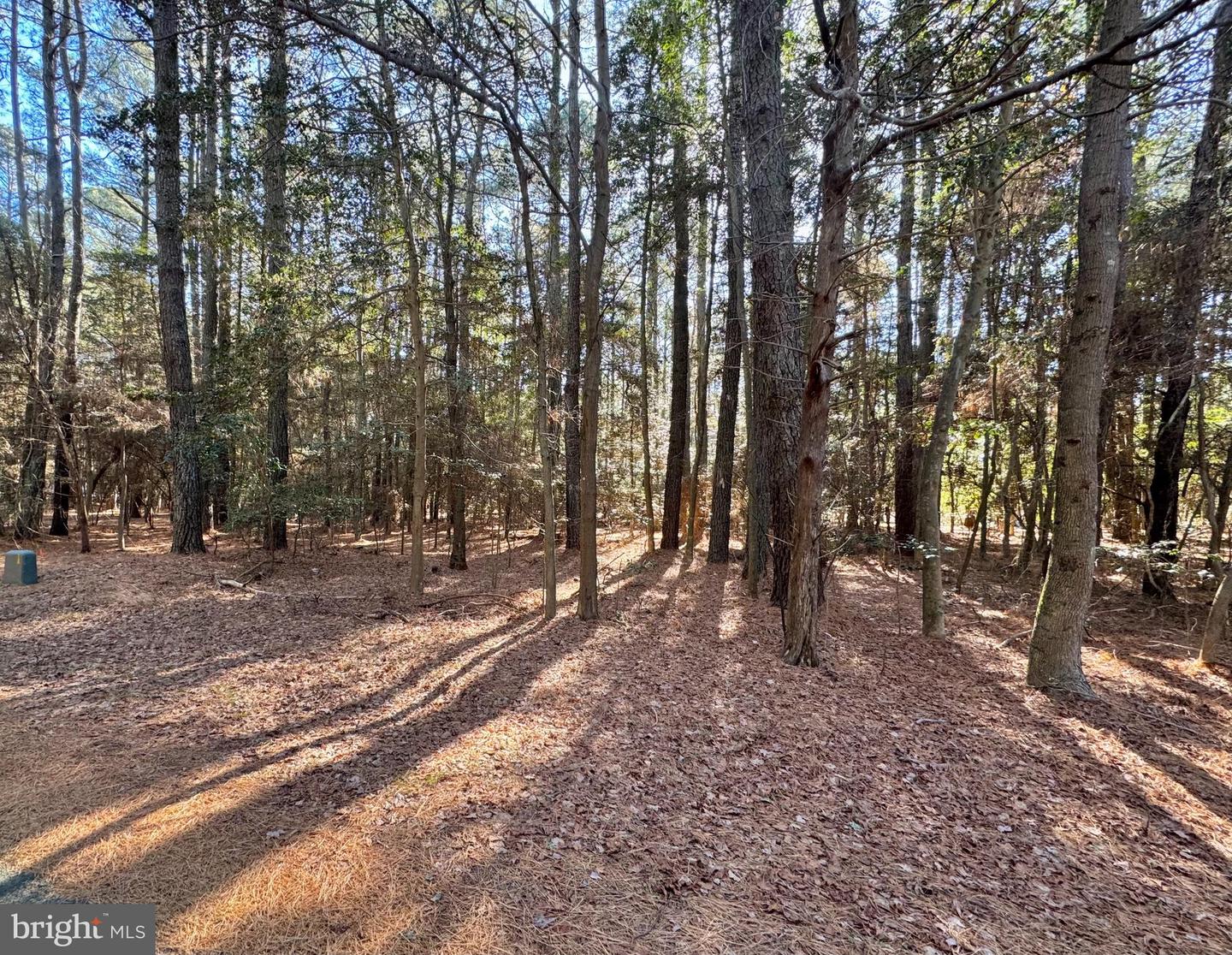 Lot 831 Castaway Dr Property Photo 3