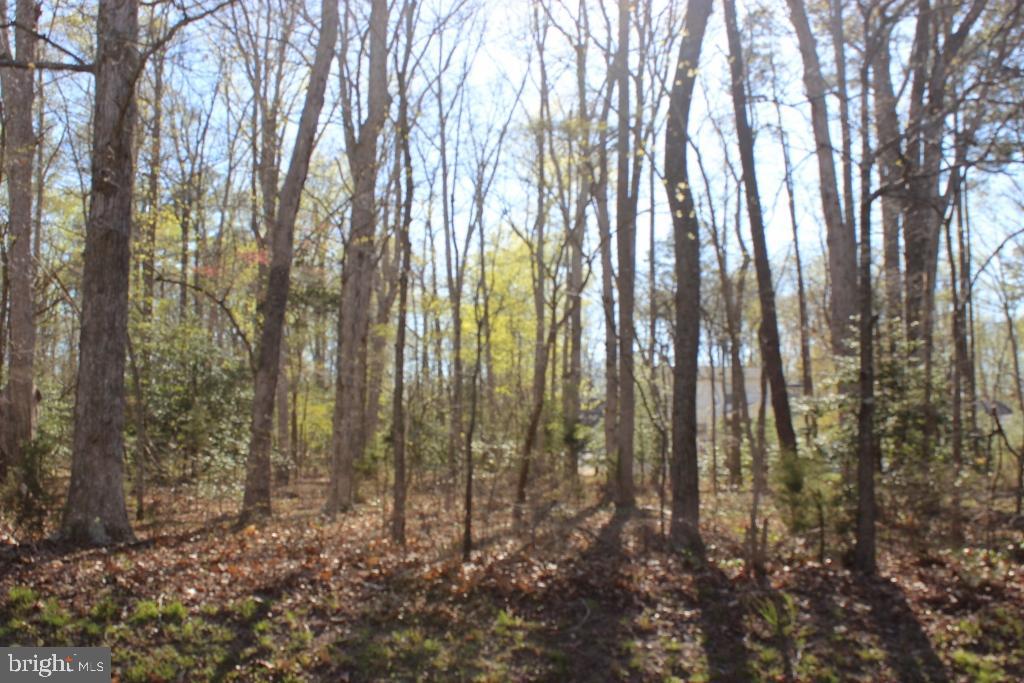 2296 Buccaneer Blvd Property Photo 1