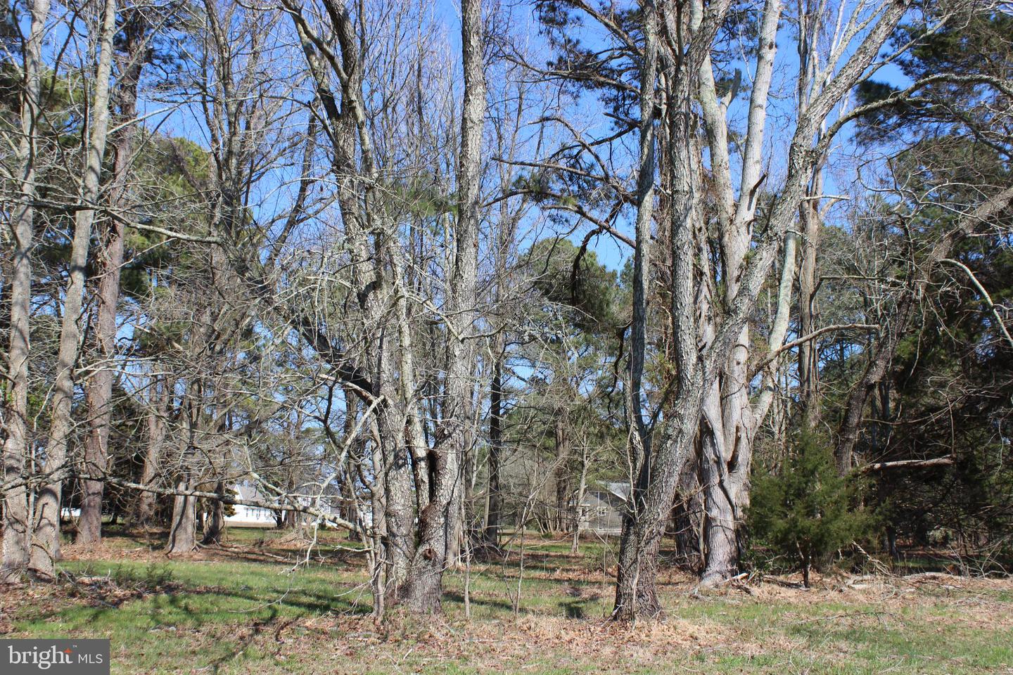 134 Neptune Dr Property Photo 1