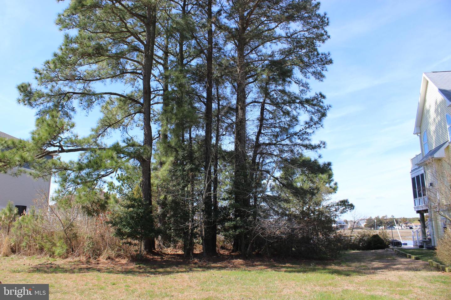 1213 Salty Way Property Photo 1