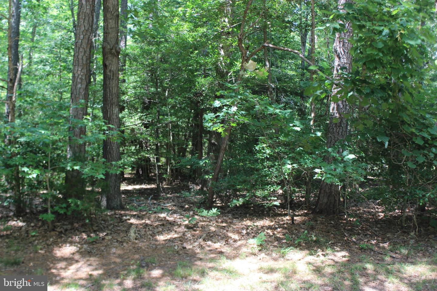 104 CUSTOM DR Property Photo 1