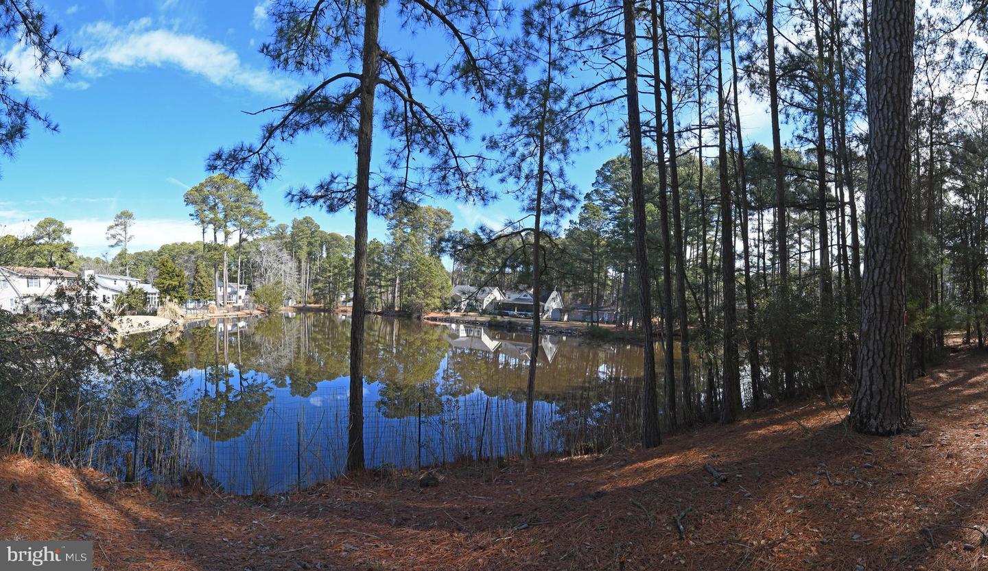 Lot 1136 Scimitar Way Property Photo 4