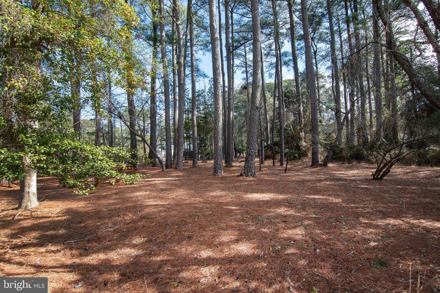 Lot 1136 Scimitar Way Property Photo 9