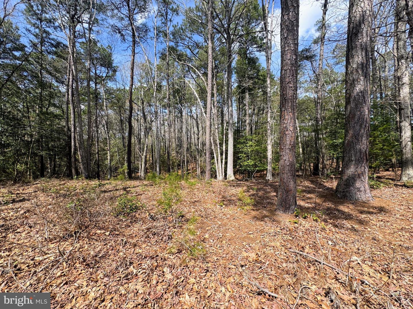0 Mutiny Property Photo 8