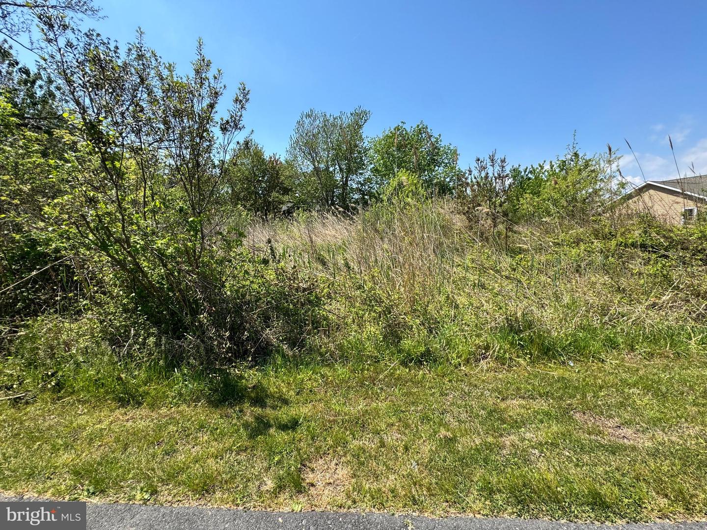 Lot 267 & 268 Wild Pony Ct Property Photo 1