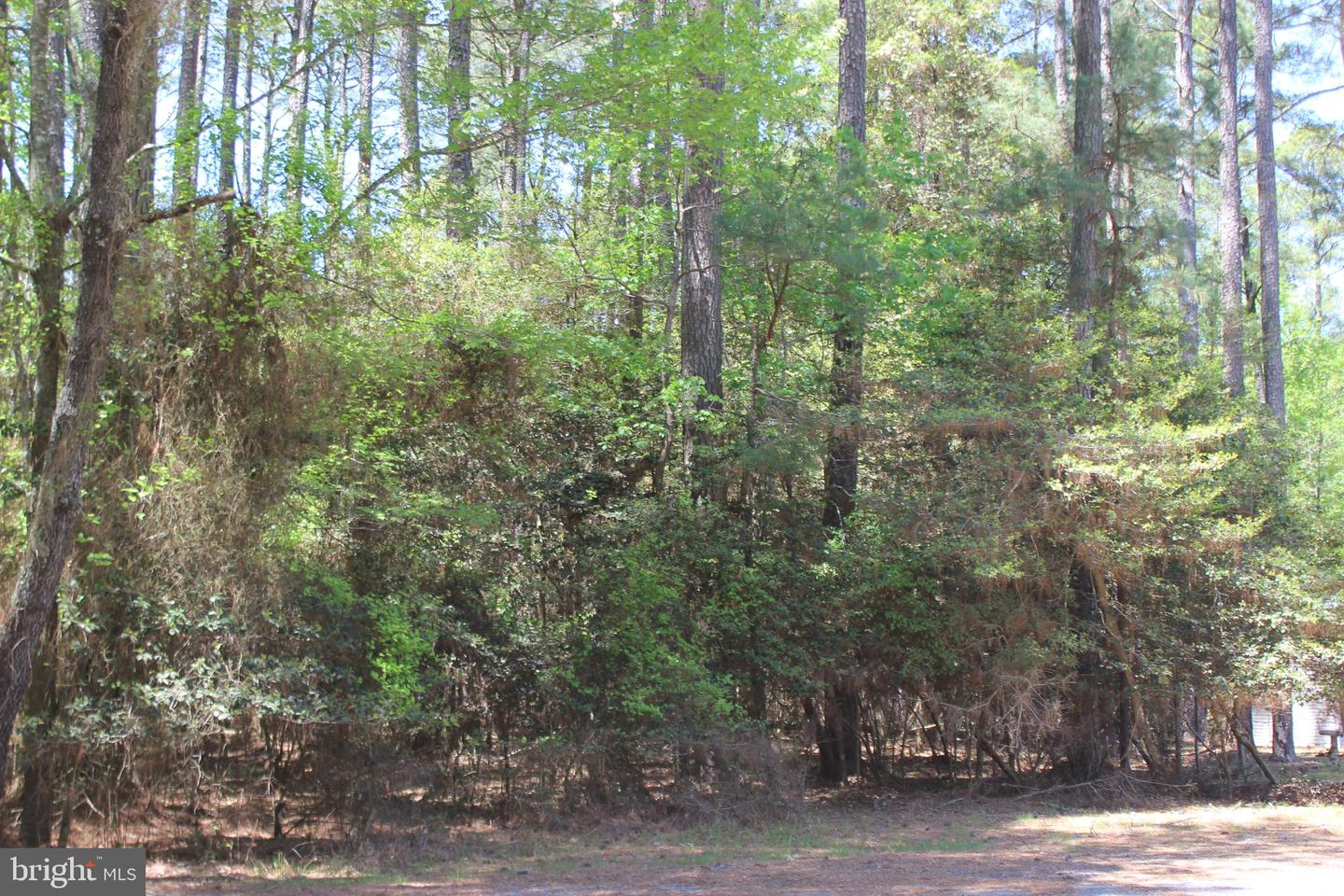 489 Dry Dock Ct Property Photo 1