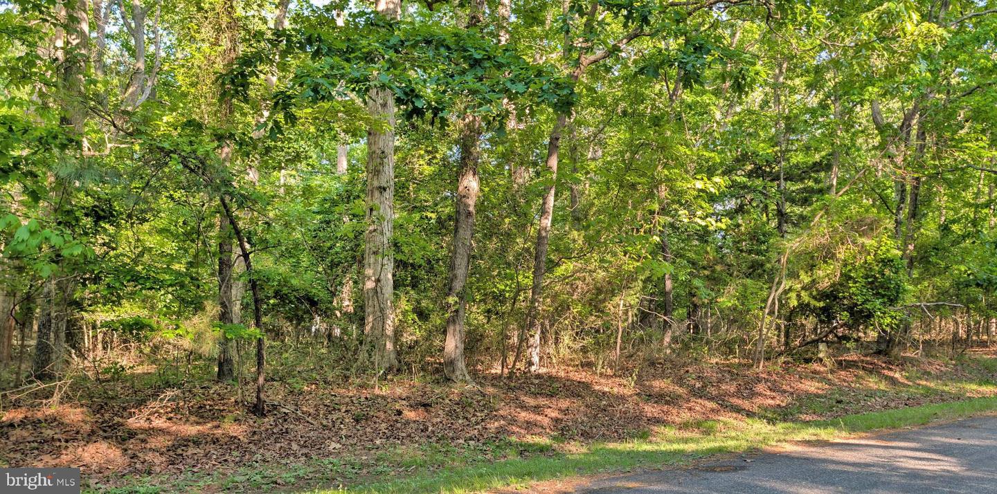 Lot 2466 Bounty Ct Property Photo 1