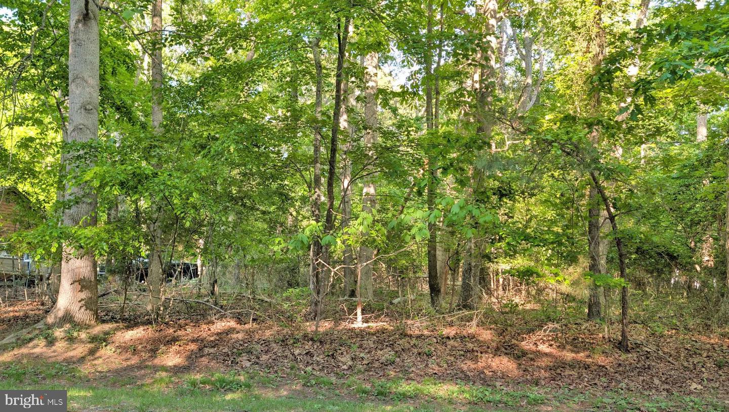 Lot 2466 Bounty Ct Property Photo 2