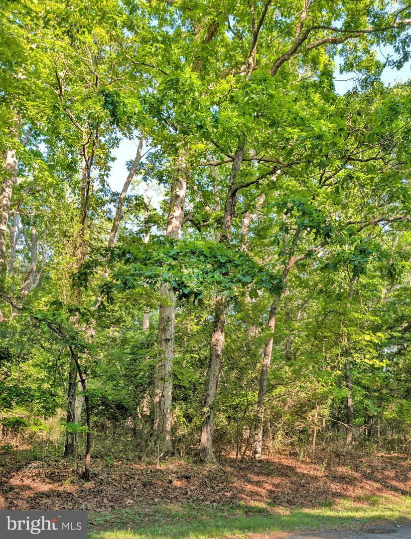 Lot 2466 Bounty Ct Property Photo 3