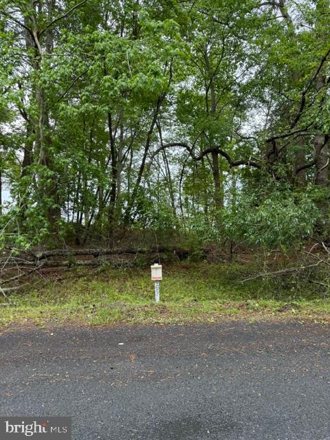 58 Neptune Dr Property Photo 2