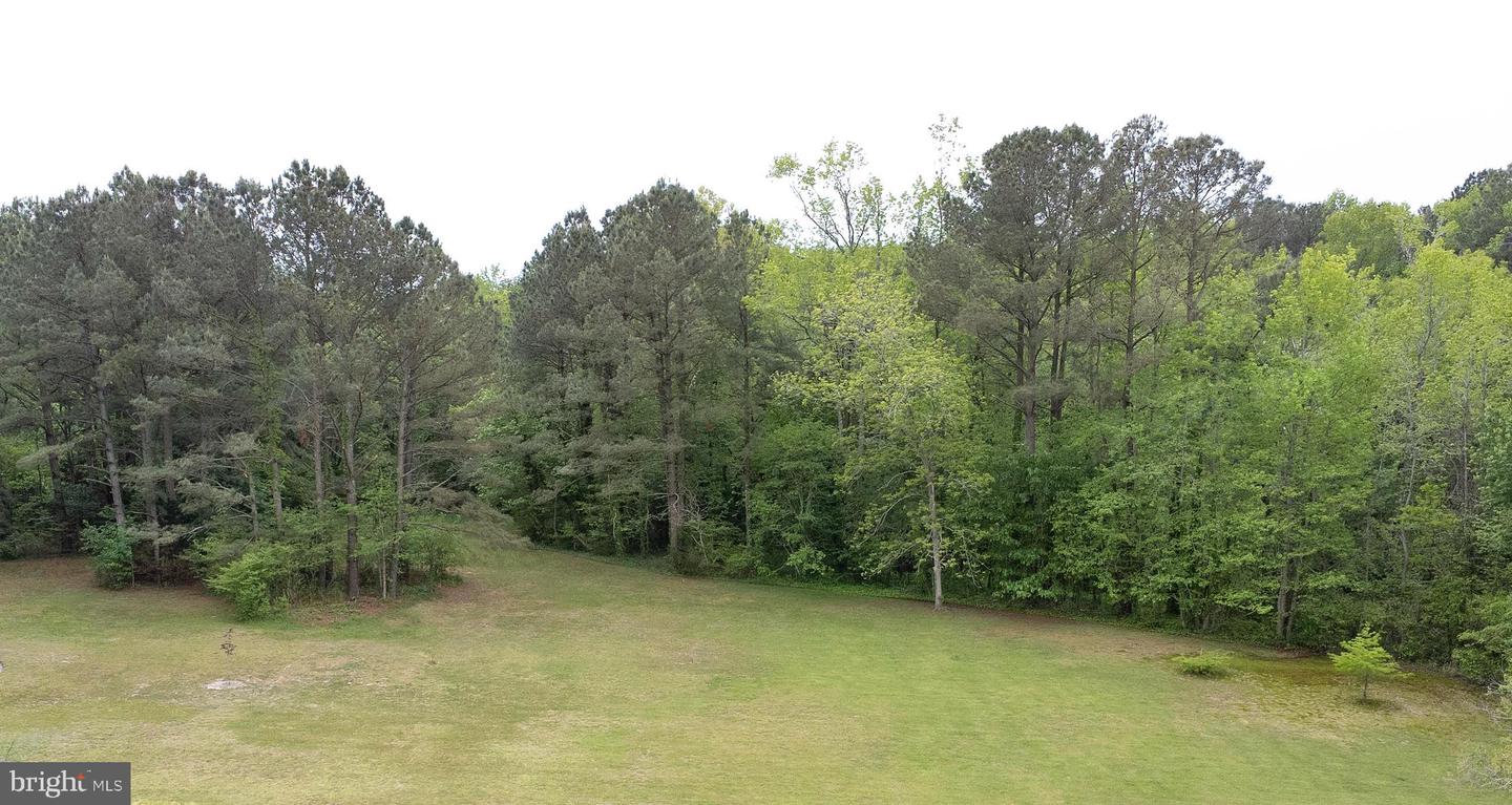 Lot 26 Holly St Property Photo 2