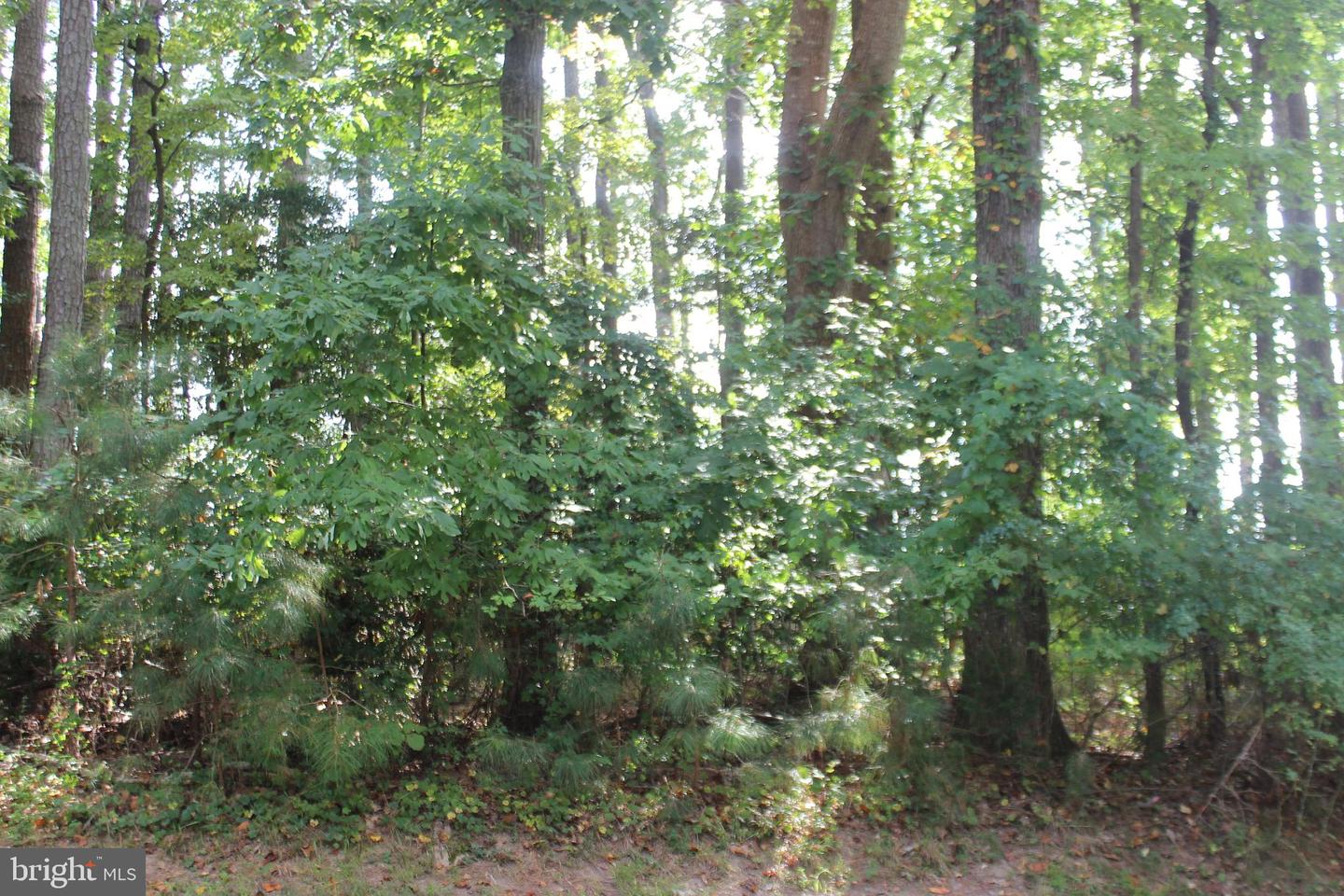 146 CAPTAINS CORR Property Photo 1