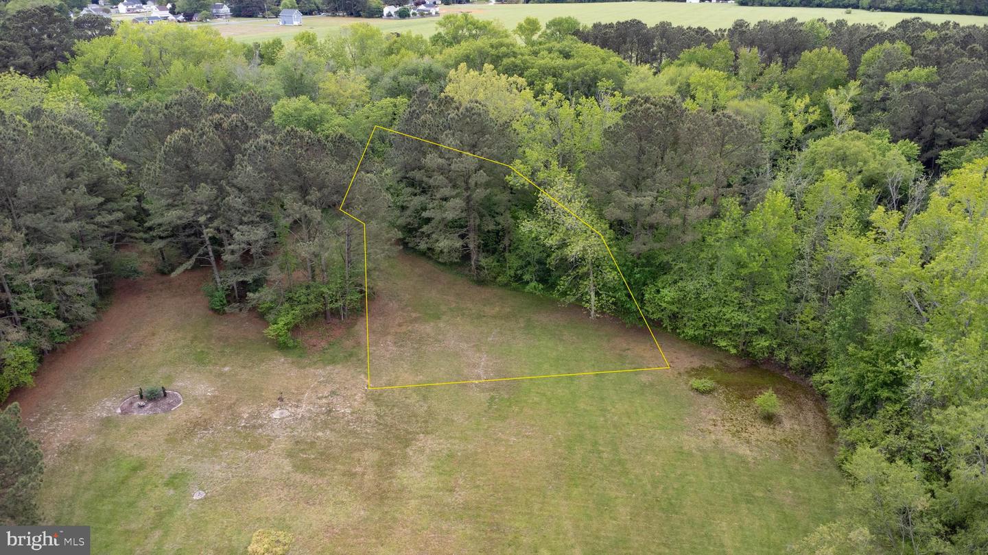 Lot 26 Holly St Property Photo 6