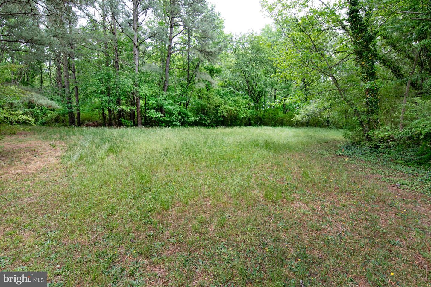 Lot 26 Holly St Property Photo 15