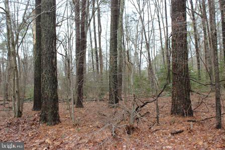 2104 BUCCANEER BLVD Property Photo 1