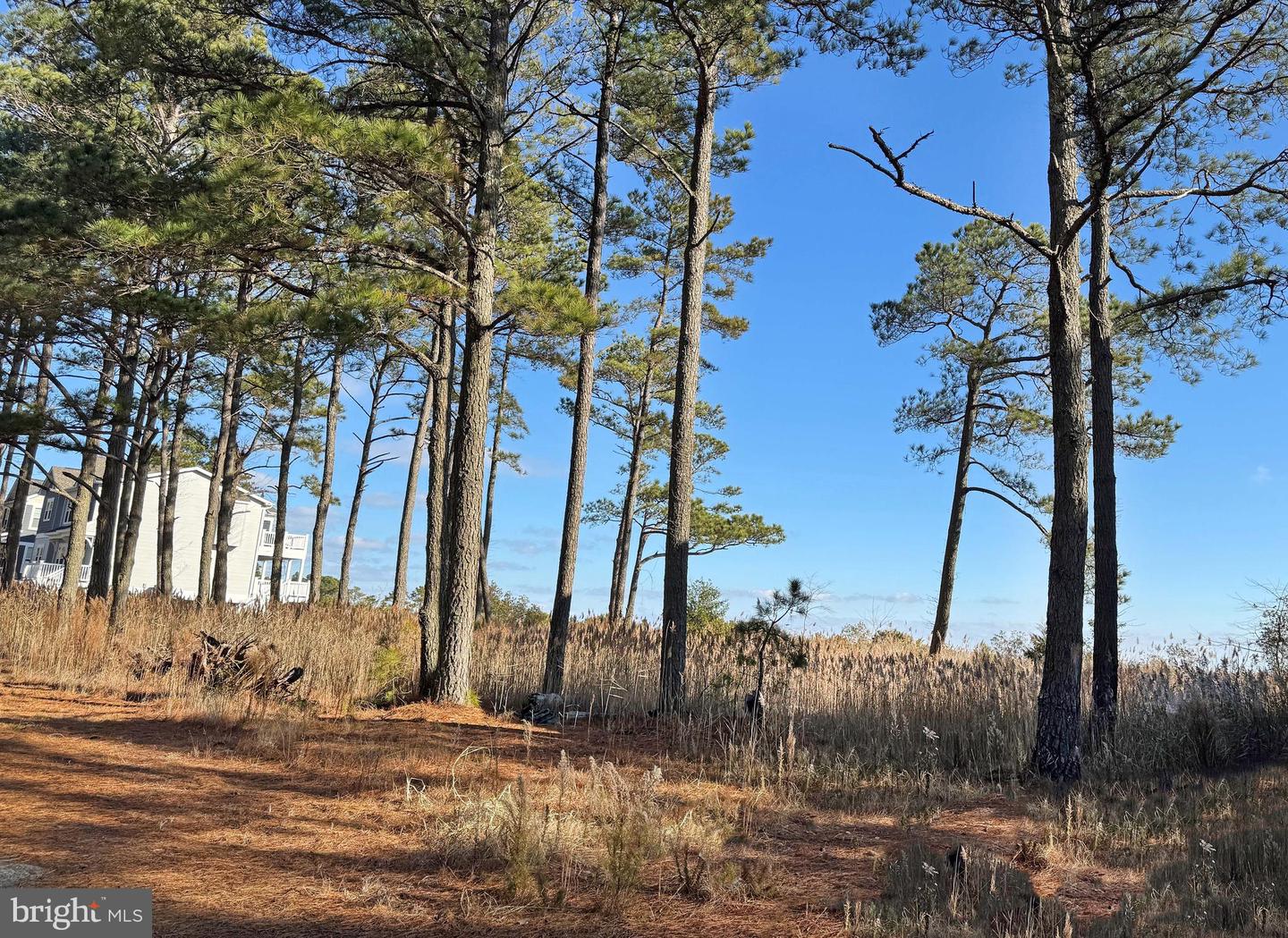LOT 720 CASTAWAY DR Property Photo 1
