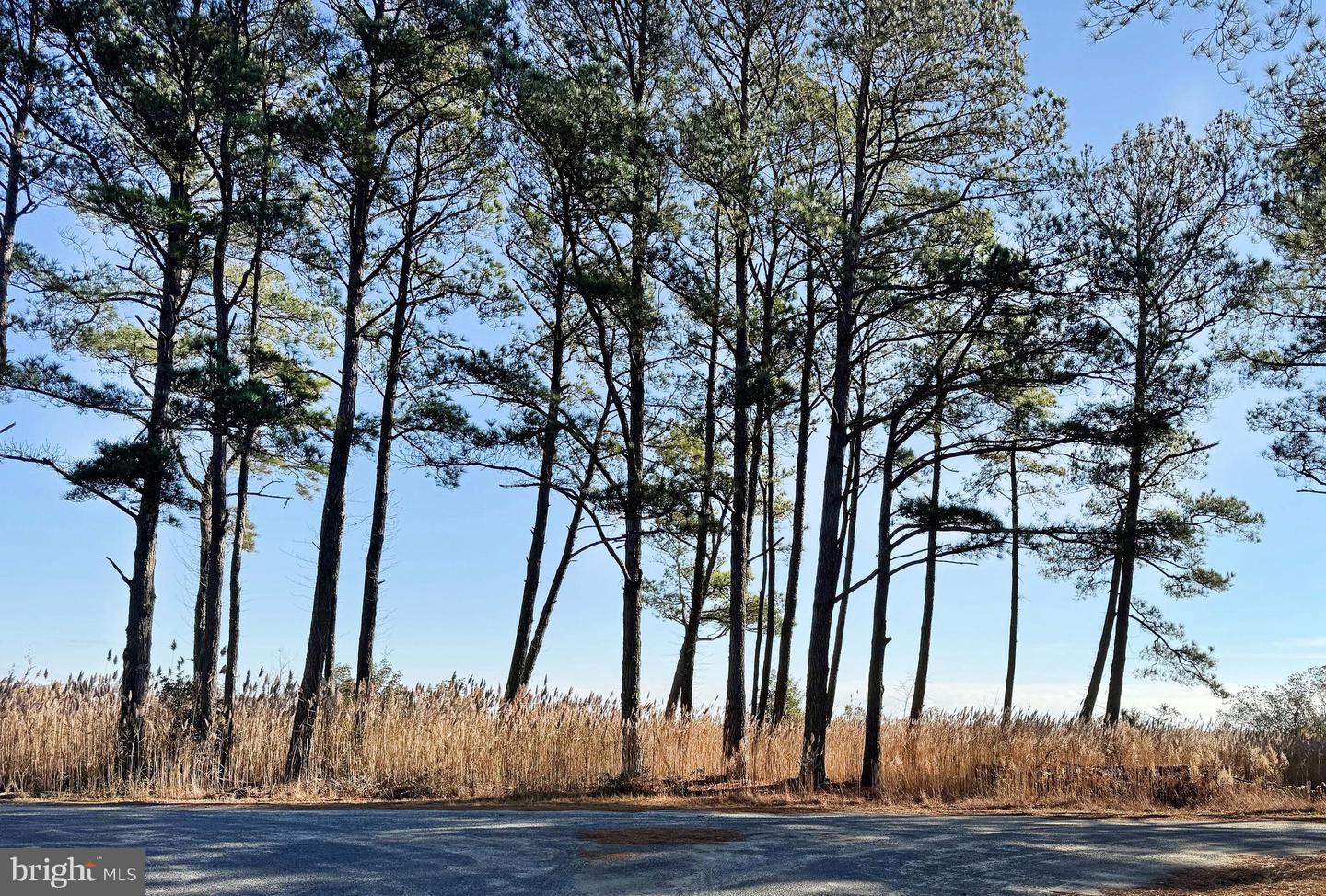 Lot 720 Castaway Dr Property Photo 6
