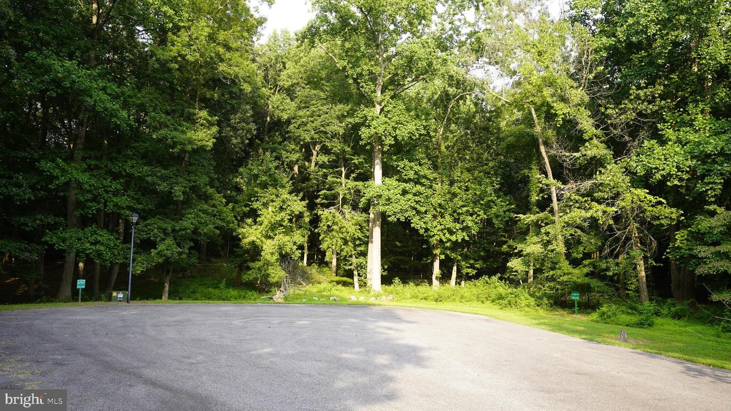 0 Wolfridge Ln #lot 119 Property Photo 5
