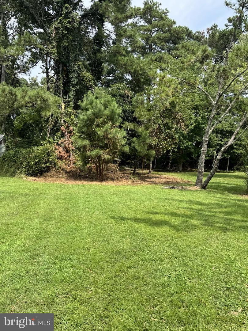 Part Of Lot 110 Tarr Ln Property Photo 1
