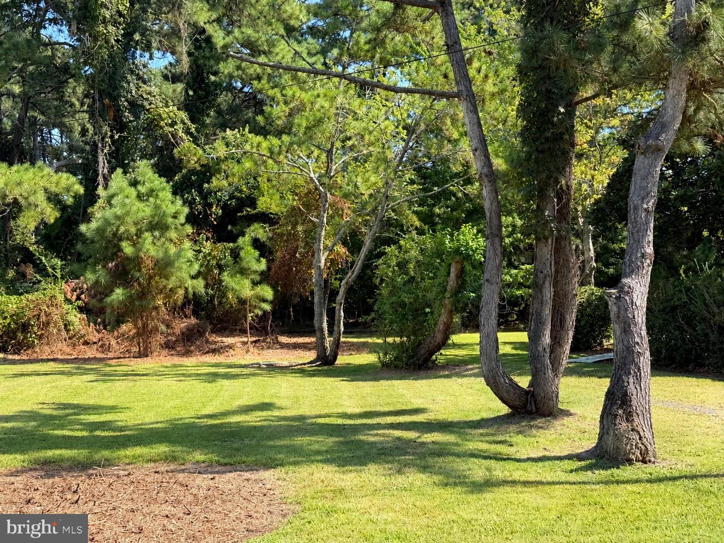 Part Of Lot 110 Tarr Ln Property Photo 1
