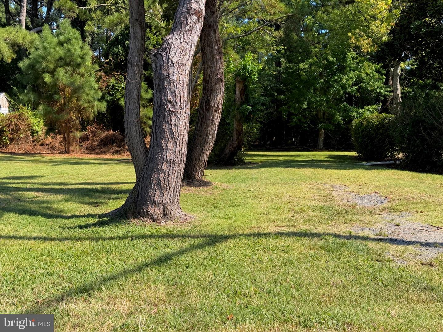 Part Of Lot 110 Tarr Ln Property Photo 2
