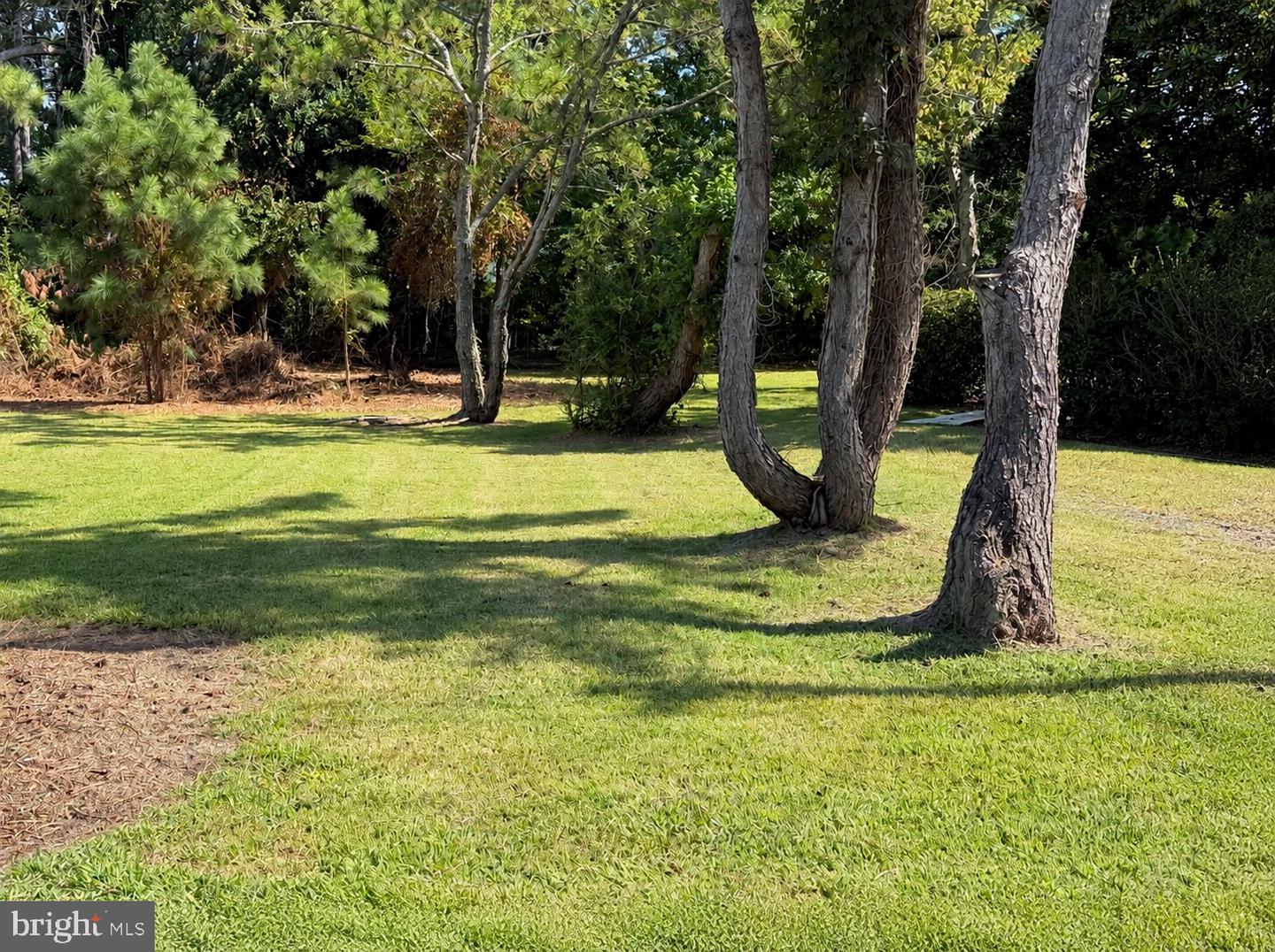 Part Of Lot 110 Tarr Ln Property Photo 3