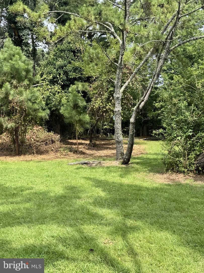 Part Of Lot 110 Tarr Ln Property Photo 6