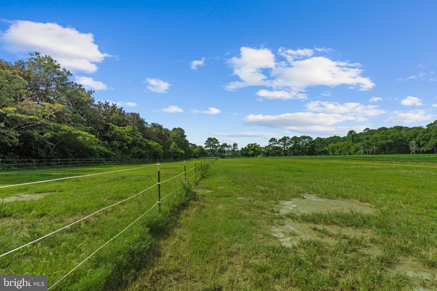 26301 Joynes Neck Rd Property Photo 51