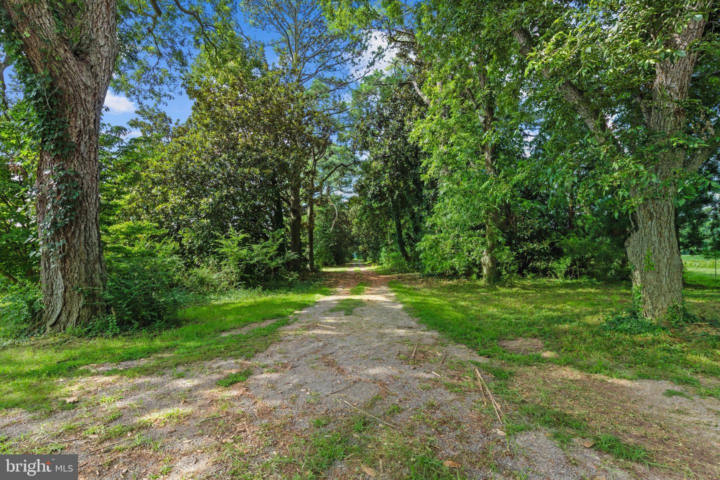 26301 Joynes Neck Rd Property Photo 61