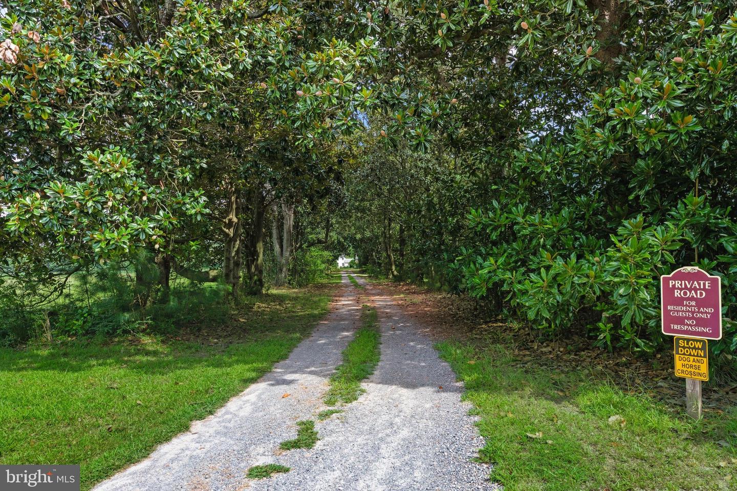 26301 Joynes Neck Rd Property Photo 62