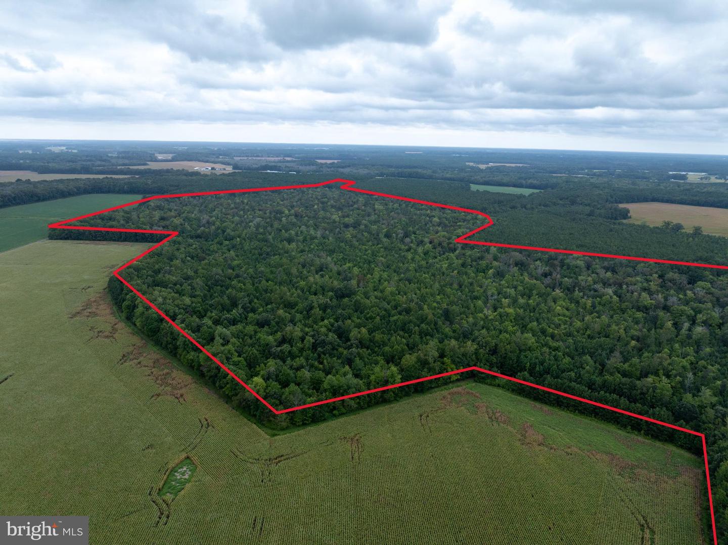 Slocom Farm Road Property Photo 3