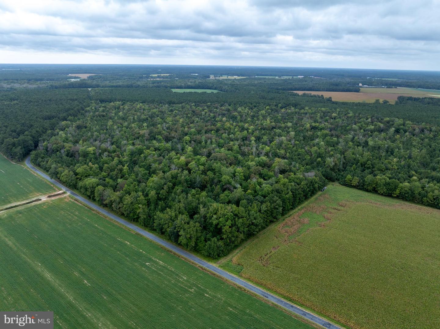 Slocom Farm Road Property Photo 4