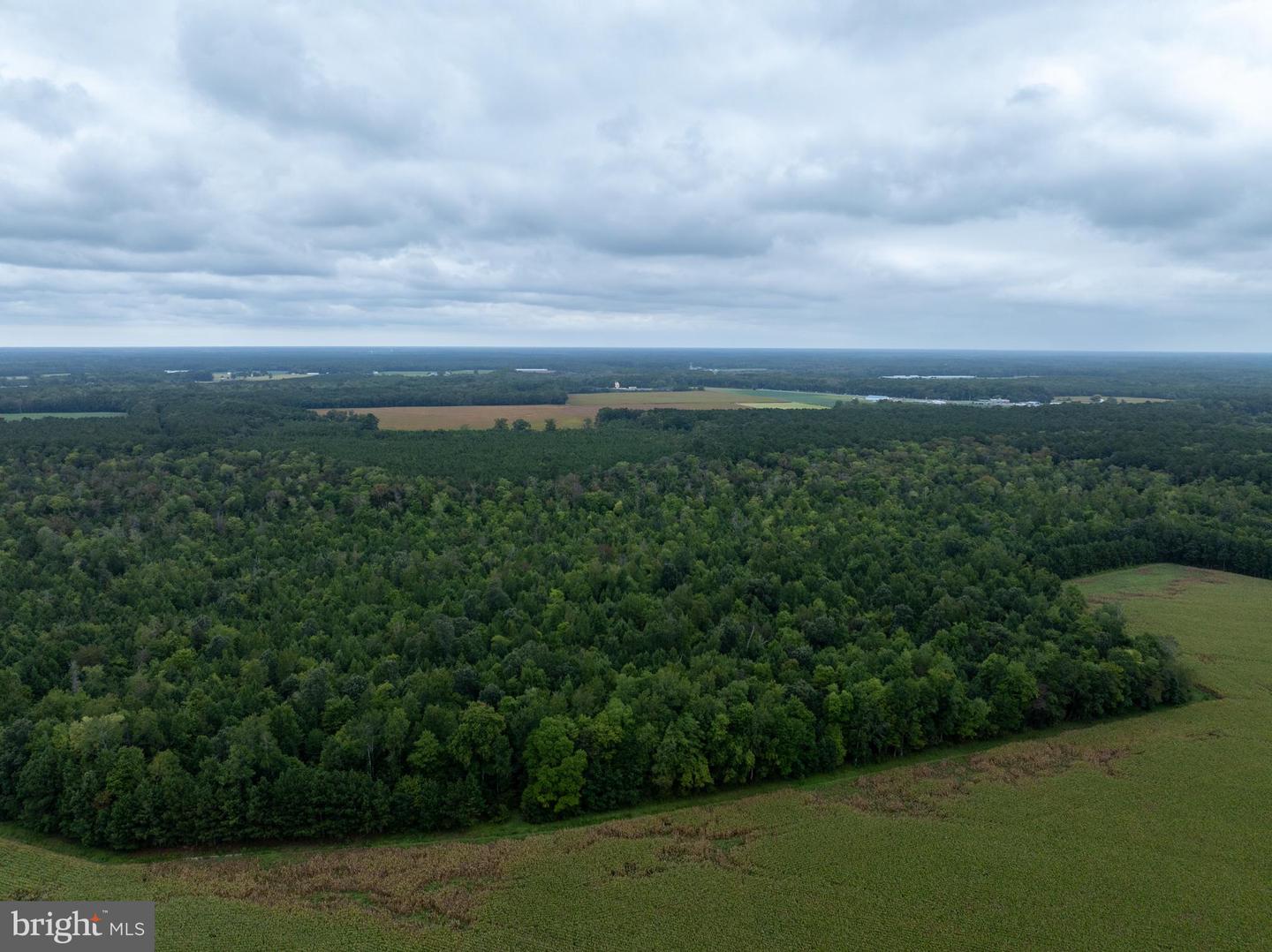 Slocom Farm Road Property Photo 6