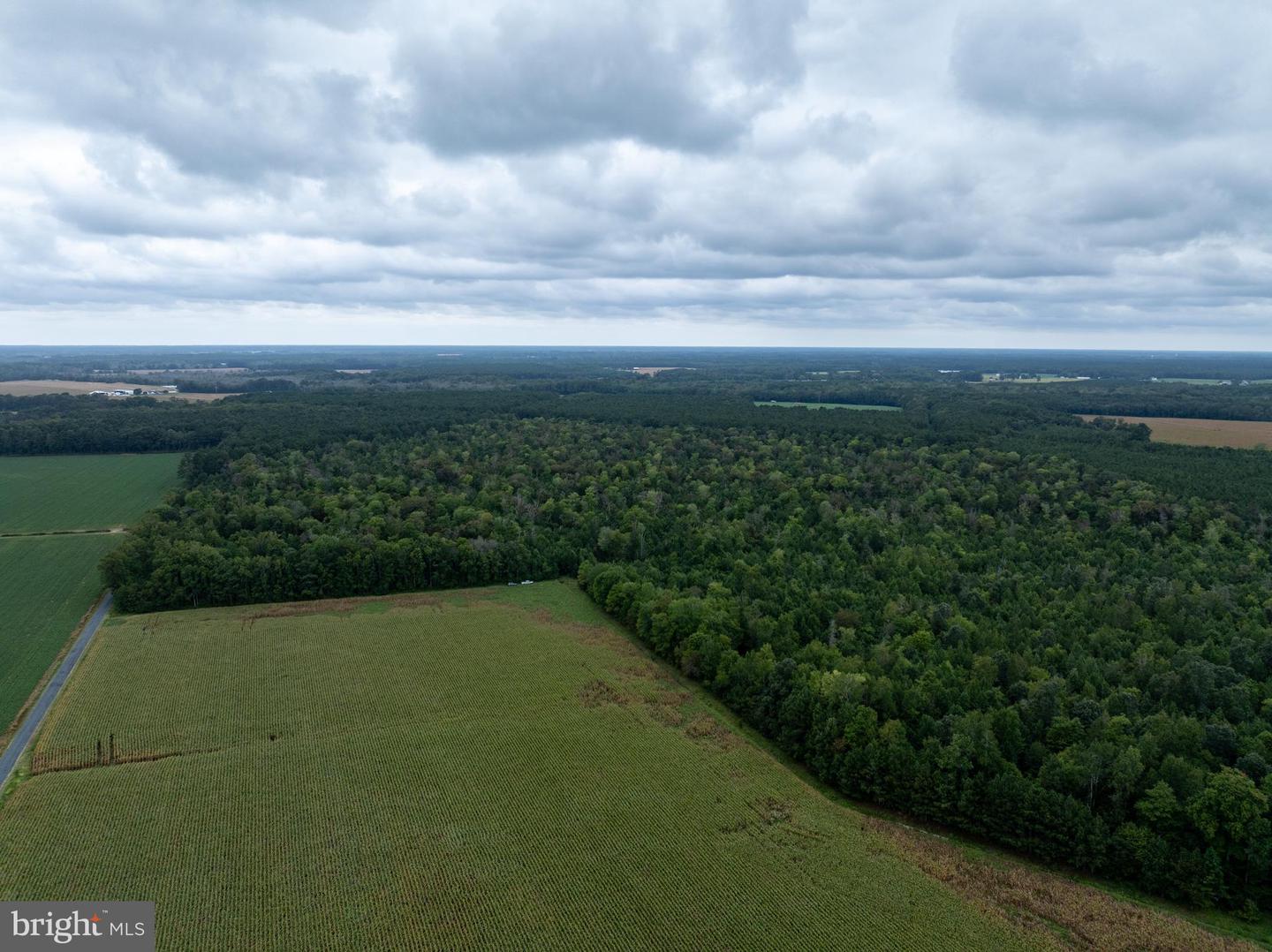 Slocom Farm Road Property Photo 7