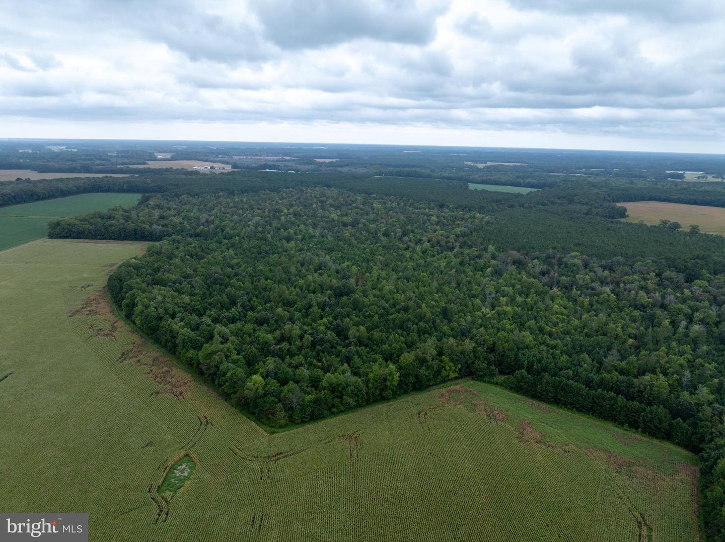Slocom Farm Road Property Photo 8