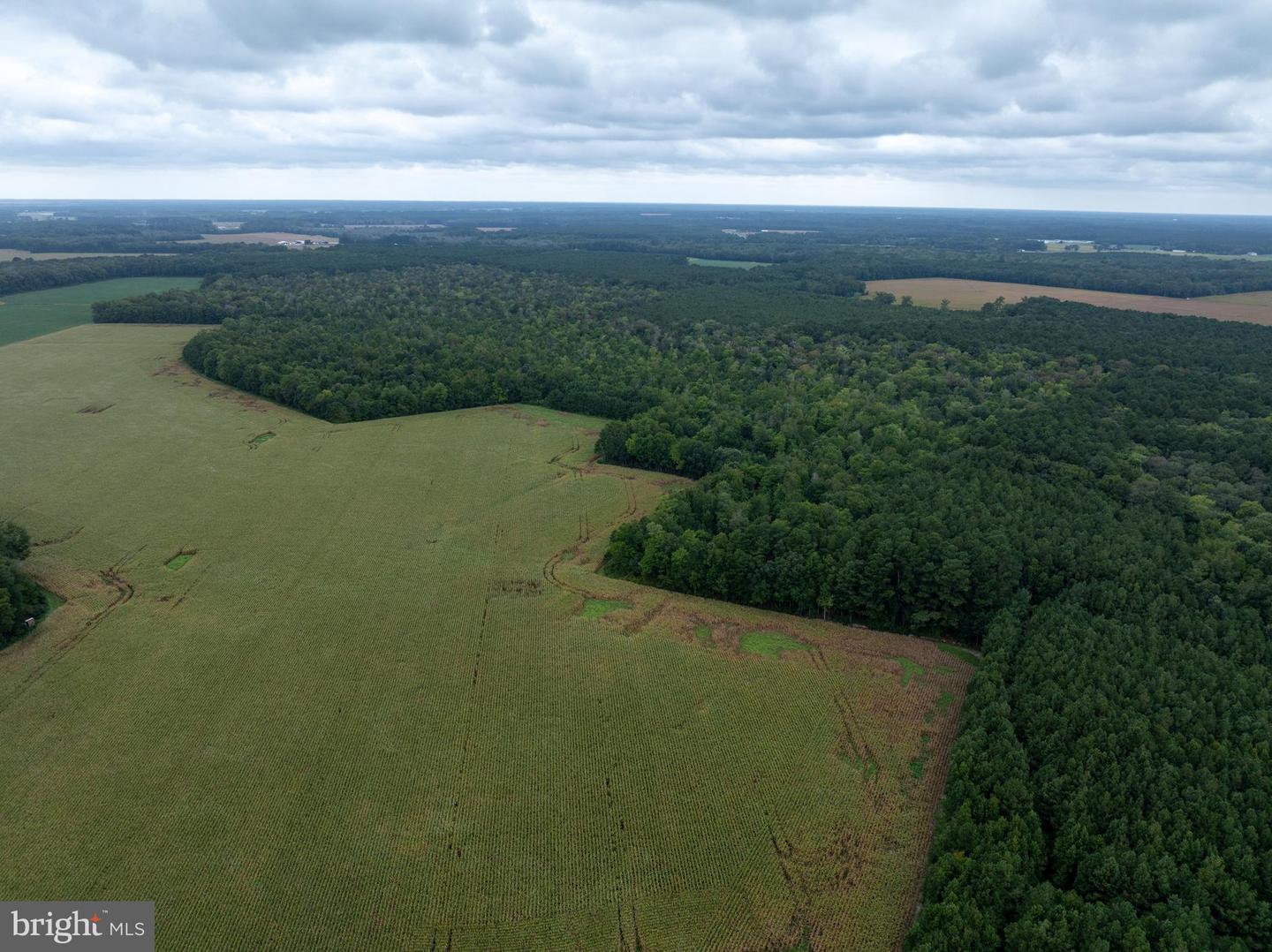 Slocom Farm Road Property Photo 11