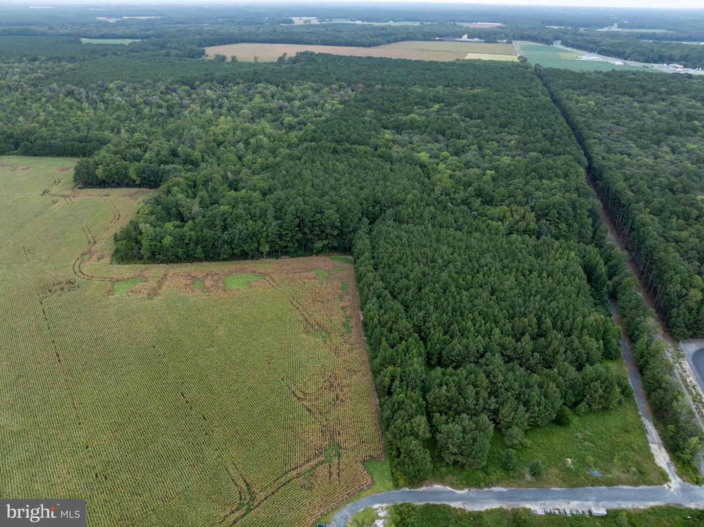 Slocom Farm Road Property Photo 12