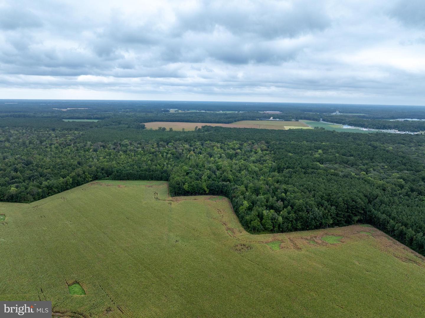 Slocom Farm Road Property Photo 14