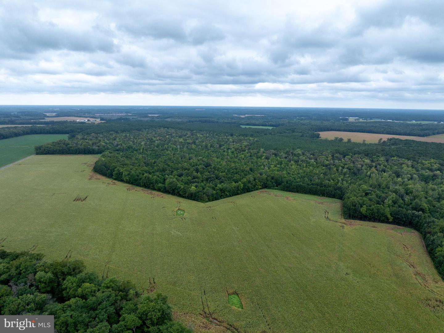 Slocom Farm Road Property Photo 15