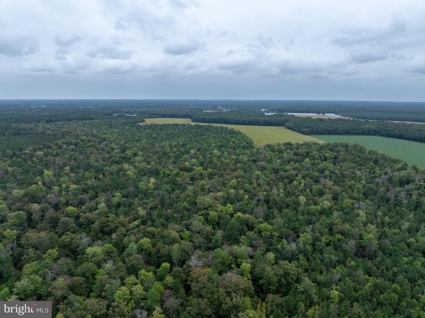Slocom Farm Road Property Photo 16